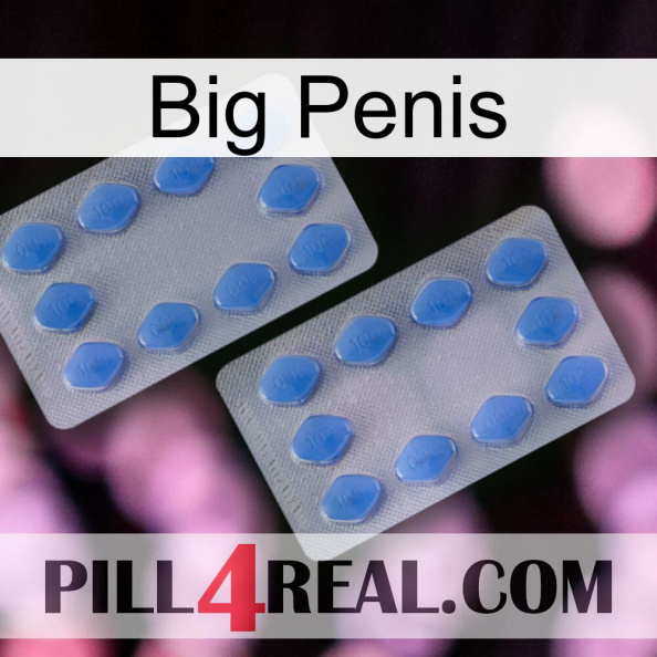 Big Penis 20.jpg